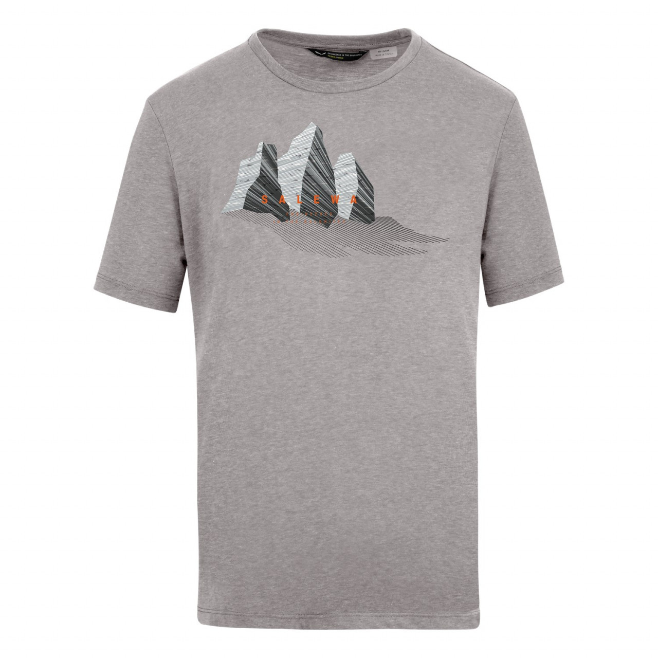 Camisetas Hombre Chile - Salewa Lines Graphic Dry - Gris - TNBE-04873